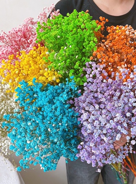 云南永生满天星干花花束白色彩色家居装饰摆件插花花材节日送人