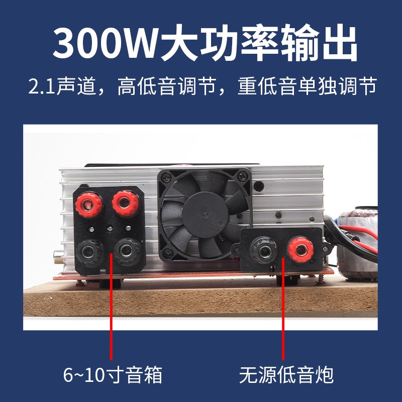 适用LDZS 大功率300W家用音响低音炮功放220v通用车载功放板蓝牙 - 图3