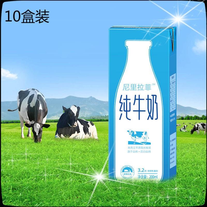 尼里拉菲牛奶200ml*10盒/20盒纯牛奶整箱批特价儿童学生早餐饮品-图0