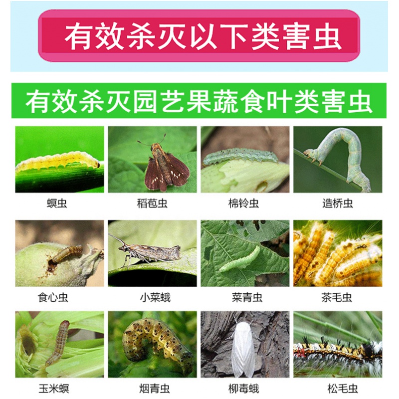 腊梅 梅花 兰花 红花檵木 十大功劳 黑松 雀梅打虫药杀虫剂 虎窝淘