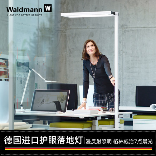 德国进口Waldmann儿童护眼落地灯 沃达迈学生钢琴学习台LED大路灯 - 图2