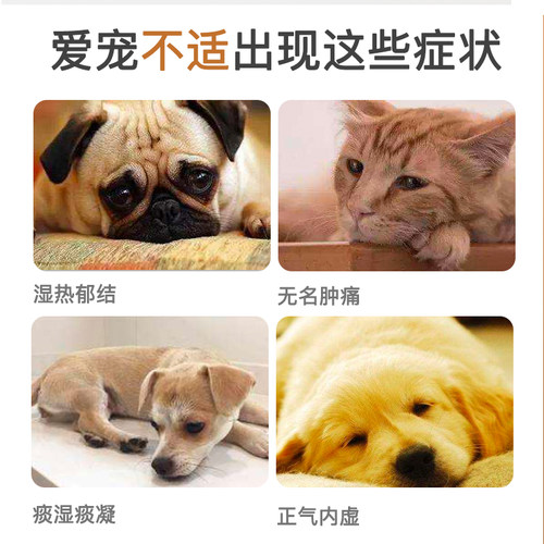 益宠堂托消丹宠物肿瘤狗缩小肿瘤猫乳腺增生菜花瘤中药化瘤100粒 - 图0