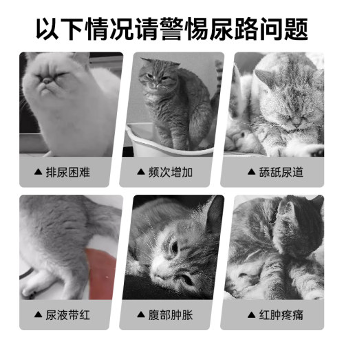 汉维宠仕优泌安猫膀胱粘膜修复胶囊猫咪用尿血尿频泌尿感染优泌可 - 图0