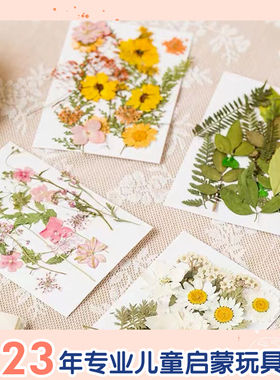 真植物干花树枝叶子混合材料包diy亲子手工滴胶压花贴画标本材料
