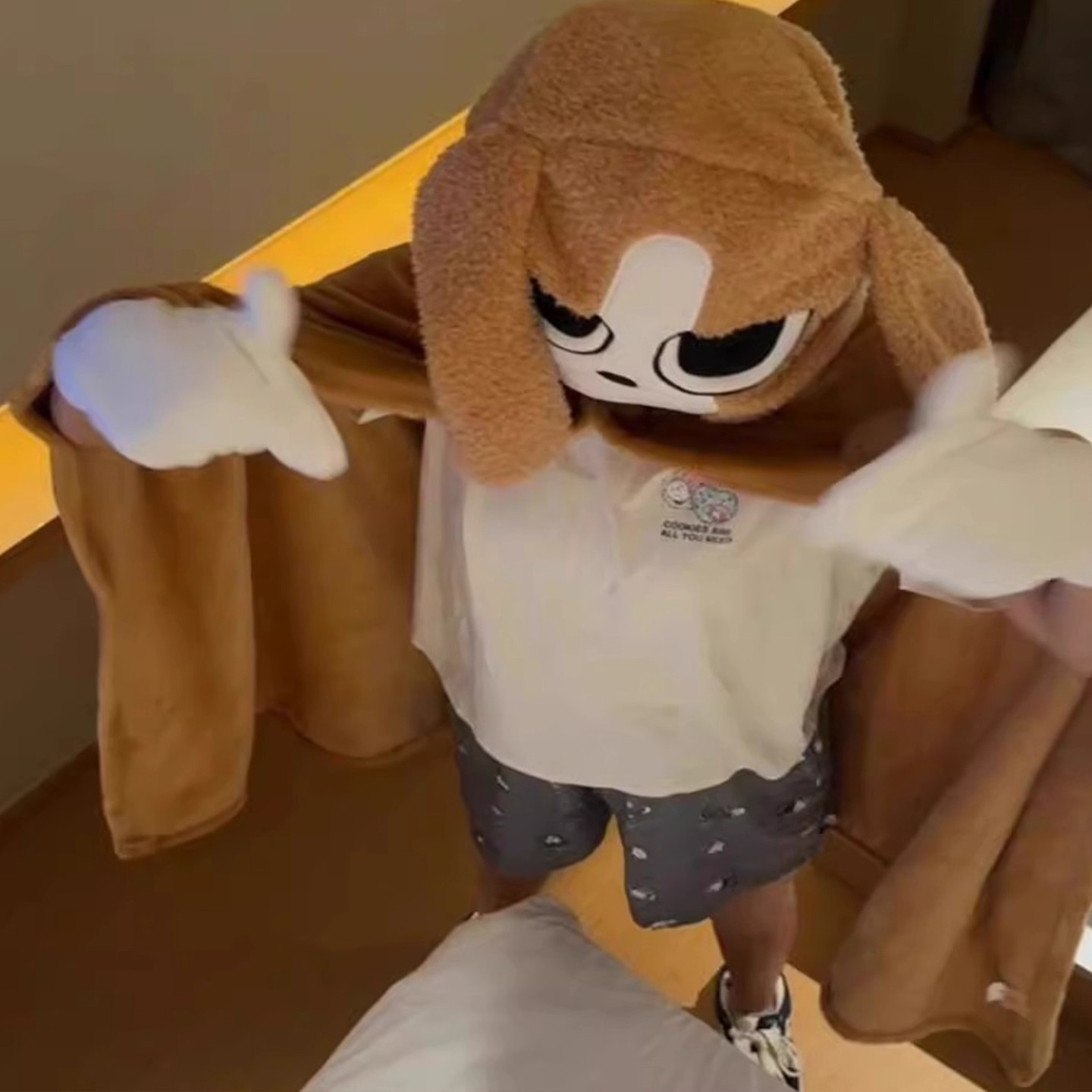 搞稀奇古怪冬天生日礼物送女朋友男整蛊多栋比格犬毛毯圣诞节新年 - 图0