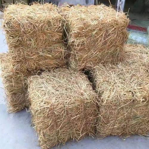 草垛方形装饰农家乐草垛子摄影道具秸秆谷草捆铺圆形谷堆干稻草堆 - 图3