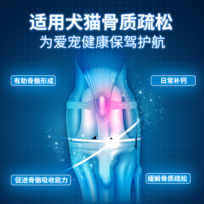 Catalysis凯塔斯派甘宝猫咪保护肝保肝派实净膀胱养护30ml - 图0