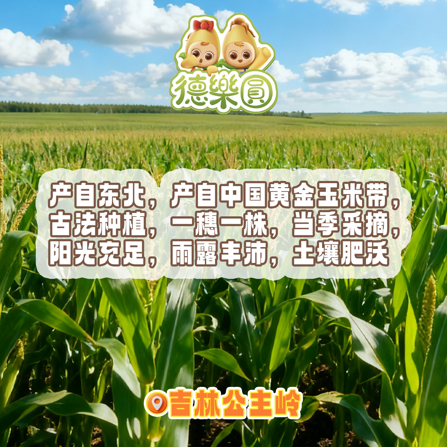 德乐圆有机糯玉米18段+水果甜玉米1000g开袋即食免煮早餐家庭分享,淘宝优惠券,粉丝福利购,淘宝优惠卷