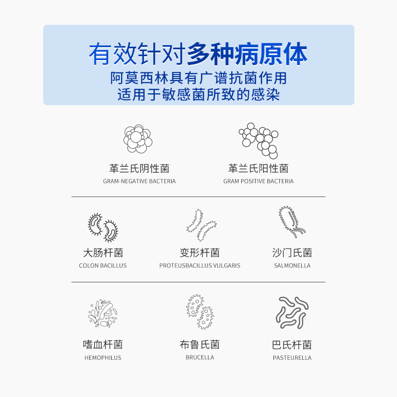 宠物抗菌消炎阿莫西林粉猫咪狗感冒药鼻支犬窝咳打喷嚏流鼻涕河欣