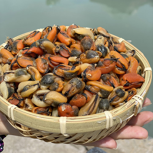 阳江海味淡菜青口贝无盐海虹肉干小号自晒风干非特级非即食250g - 图2