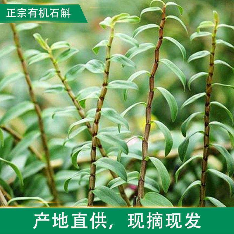  檀臻滋补养生石斛/枫斗