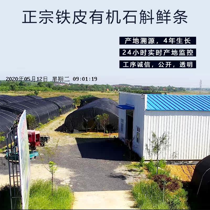  檀臻滋补养生石斛/枫斗