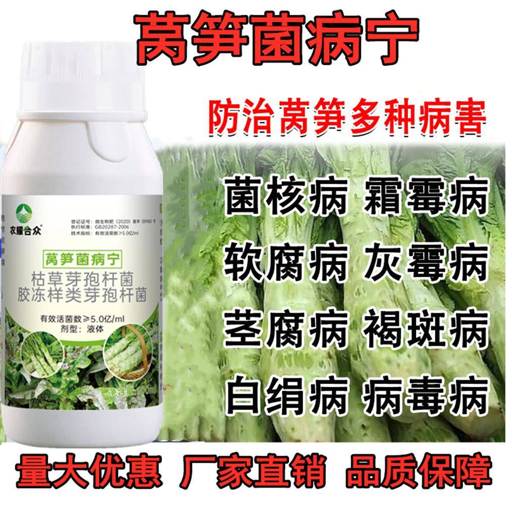 莴笋霜霉病专用药根腐病软腐病灰霉病褐斑病微生物菌剂莴苣防病药 - 图1