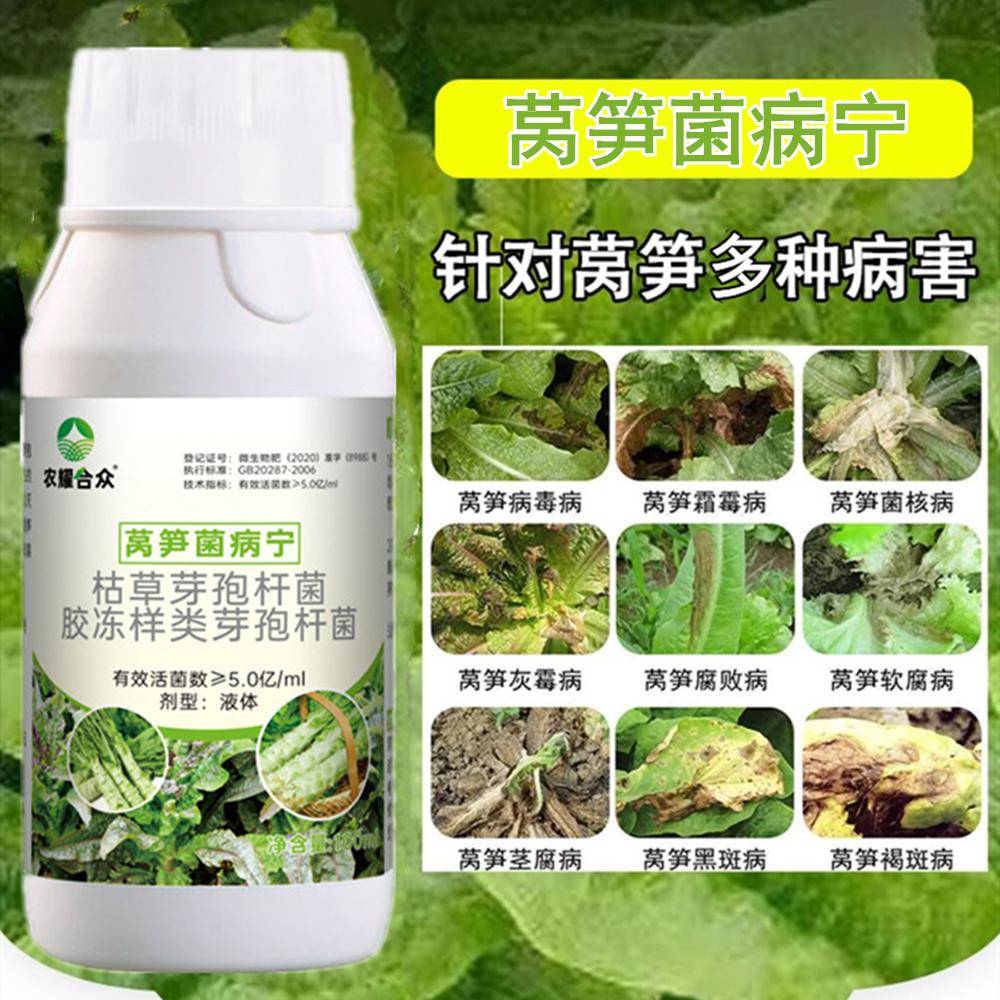 莴笋霜霉病专用药根腐病软腐病灰霉病褐斑病微生物菌剂莴苣防病药 - 图0