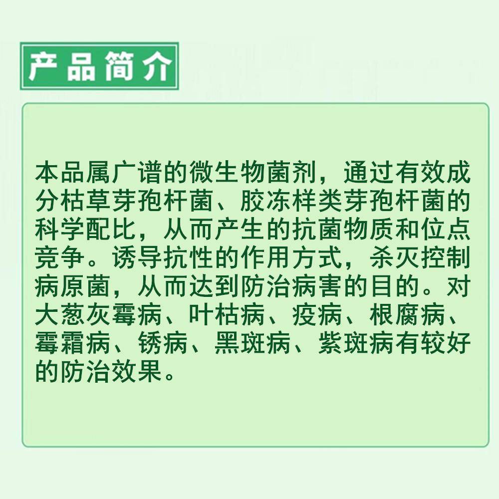 大葱灰霉病专用药病菌净防治锈病白斑病根腐病四季葱防病药菌立清 - 图2