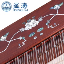 Starsea Yangqin Great Fruits Purple Sandalwood Bercarved Yangqin 8623L-A Yangqin Star Sea 402 Yangqin