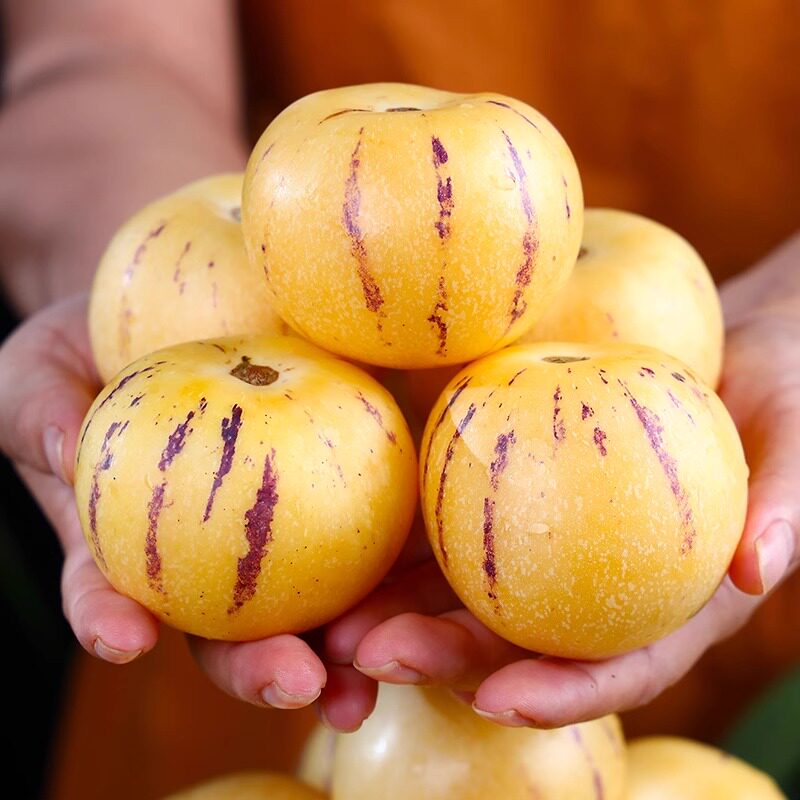 云南人参果水果圆果黄肉大果新鲜石林人叁果树上熟人生果整箱包邮