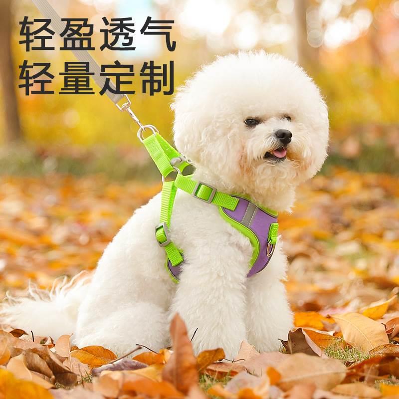 【卷王】背心式狗狗牵引绳猫咪小型犬泰迪胸背带小狗遛狗绳狗链子 - 图0