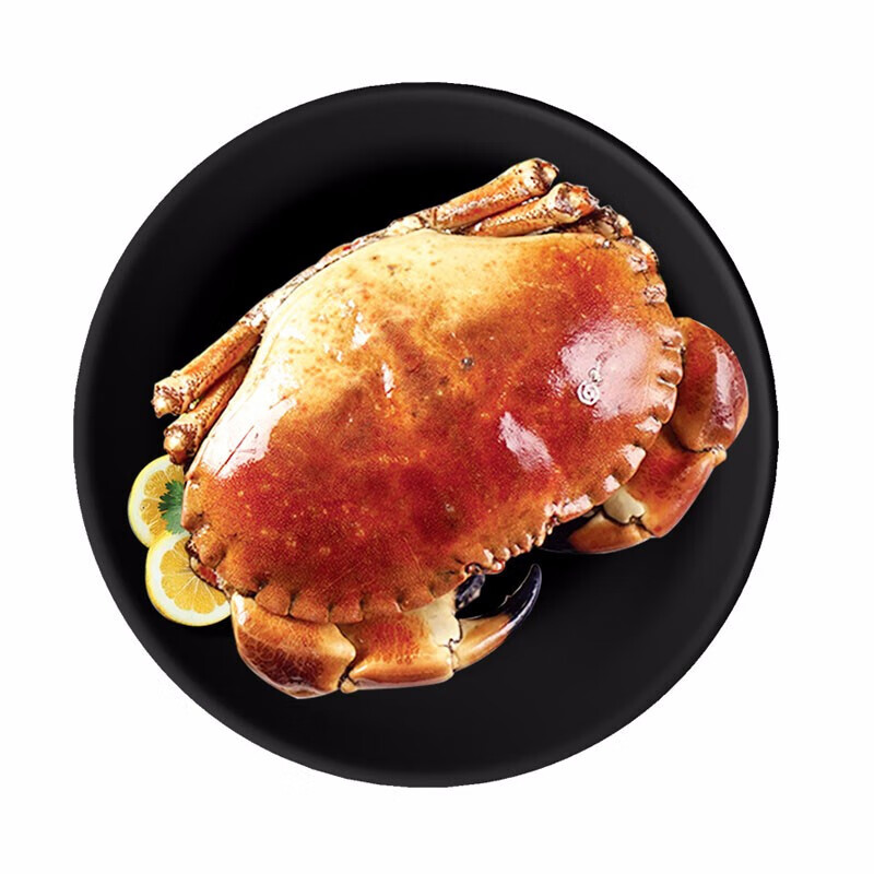 熟冻面包蟹600-800g/只 母蟹大螃蟹特大膏蟹海鲜水产鲜活生鲜海蟹
