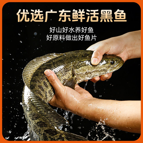 蹦蹦鱼免浆黑鱼片快煮酸菜鱼片活鱼鲜切火锅食材商业批发 - 图0