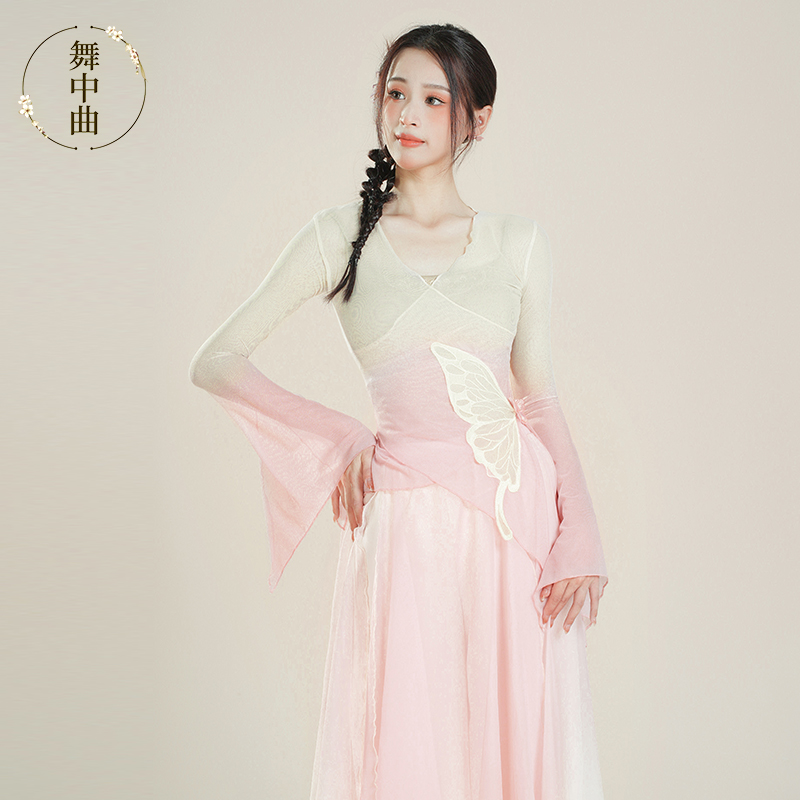 舞中曲古典舞渐变蝴蝶纱衣练功服飘逸上衣中国舞练功服表演服套装-图1