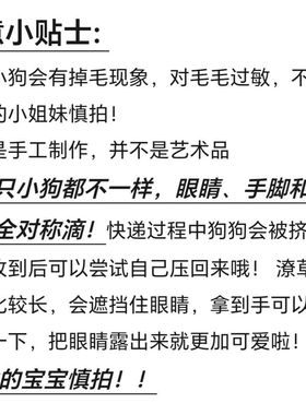 红书铜厂可爱高地毛绒挂件包包挂饰卡通潦草小狗毛毛公仔钥匙扣