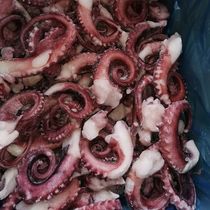 10 catty new cargo large squid to be frozen fresh and quick-frozen seafood Aquatic squid octopus octopus octopus