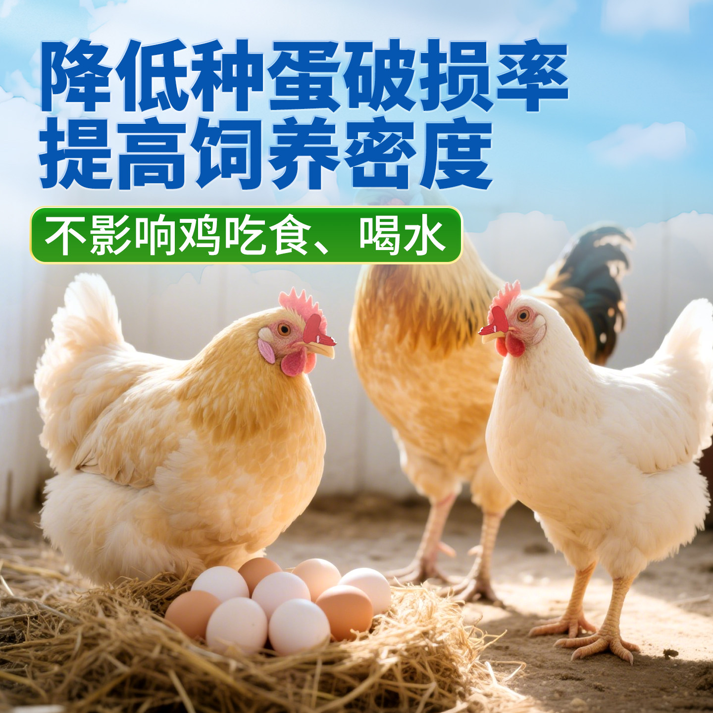 鸡眼镜公鸡防打架鸡用眼罩新款特大号鸡戴的眼镜防啄母鸡踩蛋眼镜,淘宝优惠券,粉丝福利购,淘宝优惠卷