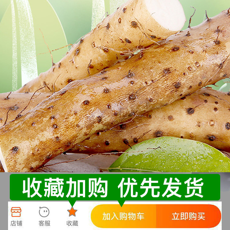 正宗垆土地铁棍山药新鲜小白嘴麻山药棒10斤铁杆淮山河南焦作蔬菜