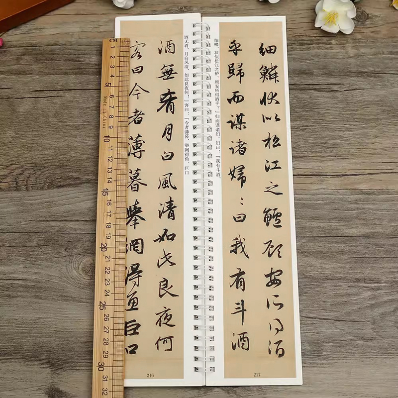 赵孟頫前后赤壁赋 名家碑帖近距离临摹字卡（2卷全文）前后赤壁赋米字格放大+原帖对照版 行书书法毛笔练字帖 附简体旁注 崇文书局 - 图2