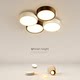 The brightest Italian style minimalist high-looking small size ceiling lamp