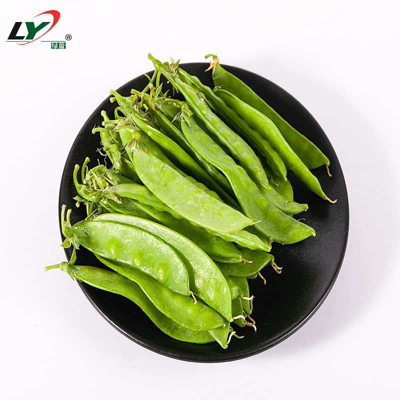 双荚荷兰豆种子苗菜豆青豆软荚豌豆种籽春秋四季播豌豆苗蔬菜种孑 寿光市金丰种业有限公司 淘优券