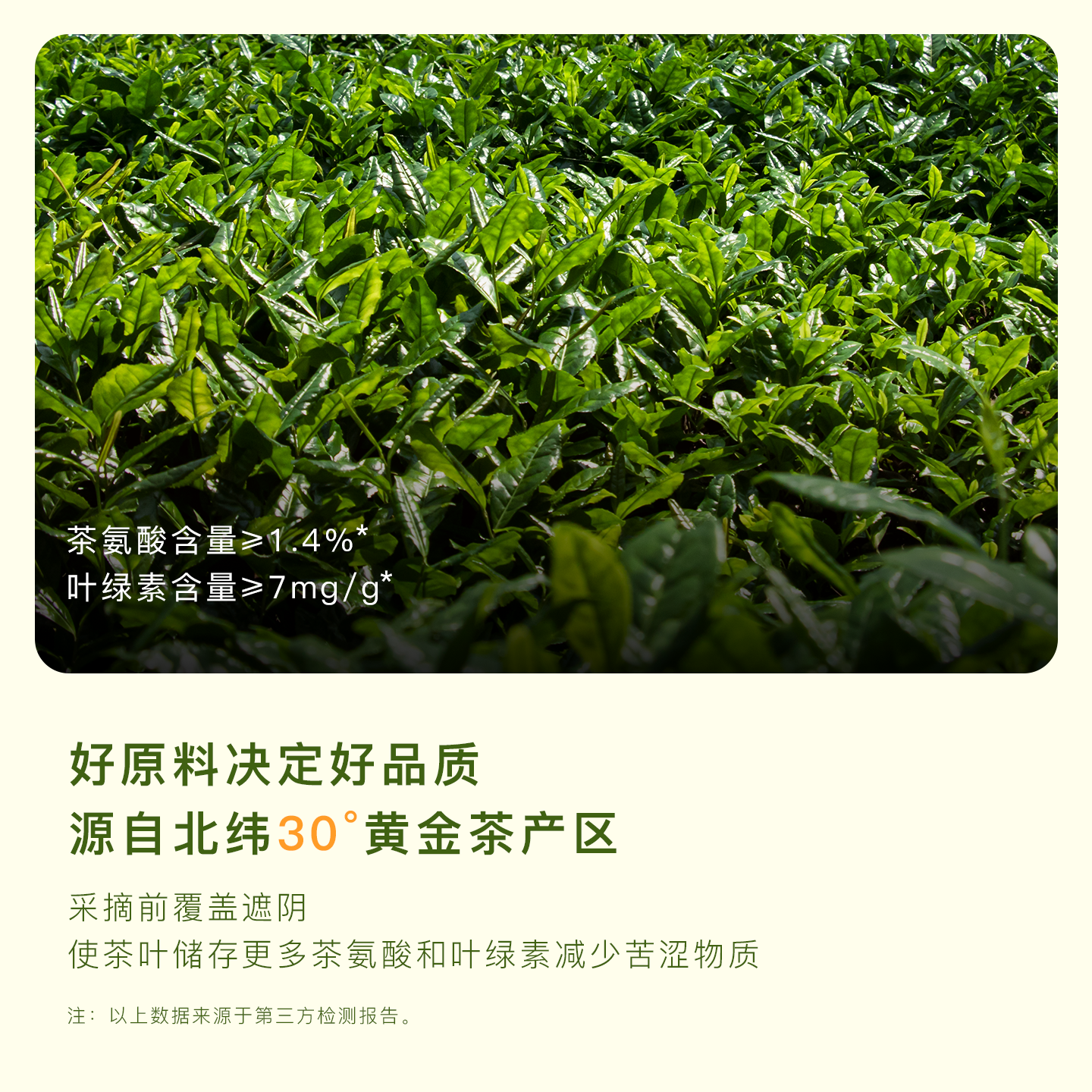 五十铃抹茶粉箬竹国产一级纯抹茶冲饮无添加蔗糖烘焙拿铁点茶,淘宝优惠券,粉丝福利购,淘宝优惠卷