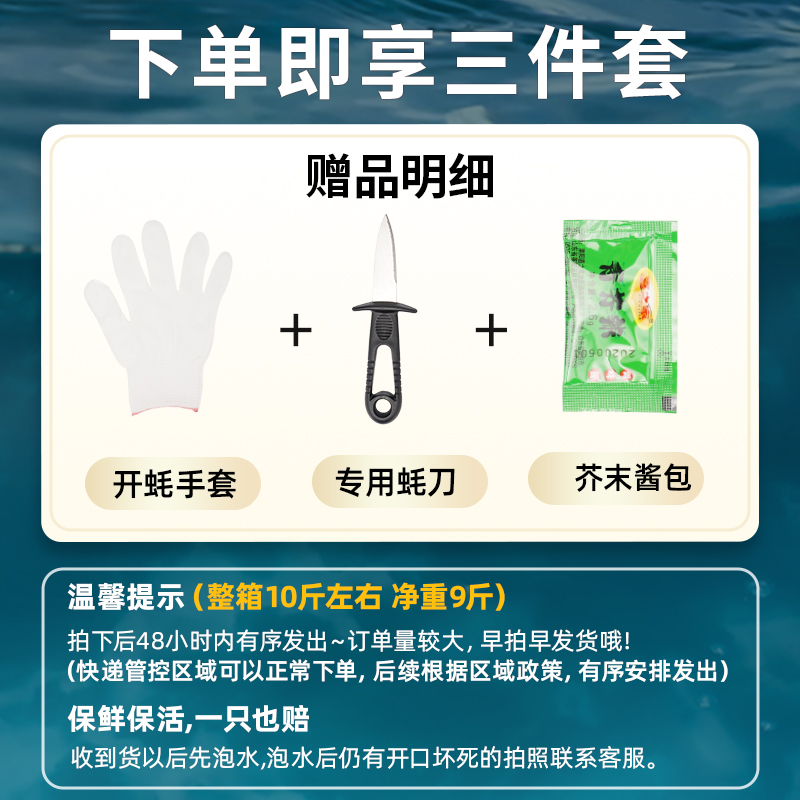 乳山生蚝鲜活10斤特大牡蛎带箱生蚝肉带壳海蛎子贝类海鲜水产批发-图0