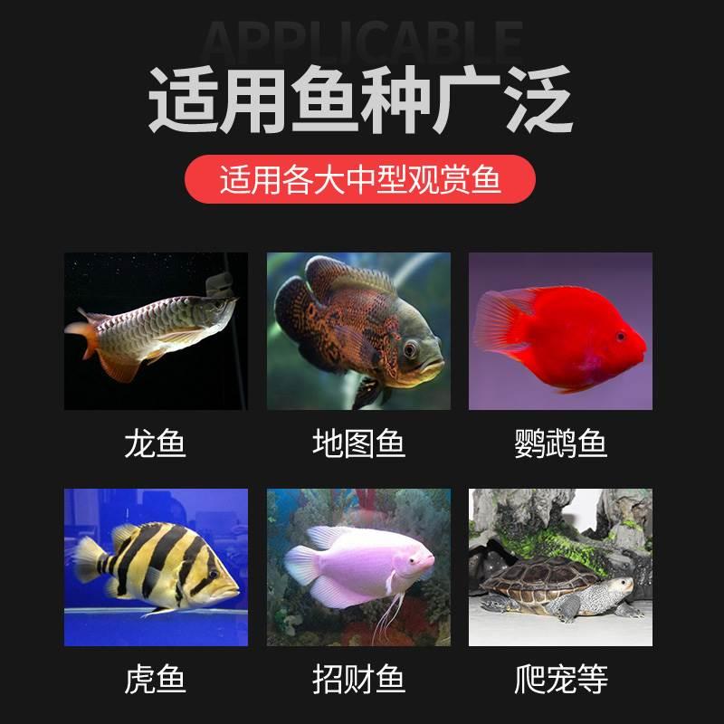 宠尚天面虫活虫干粉虫鹦cst917yu体包鹉鱼乌龟银龙金龙鱼画眉黄鸟