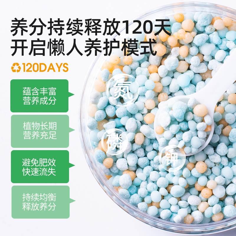 虎皮粒兰肥料专用肥缓金边虎皮兰颗营养肥料室内盆栽ATT植物复合 - 图1