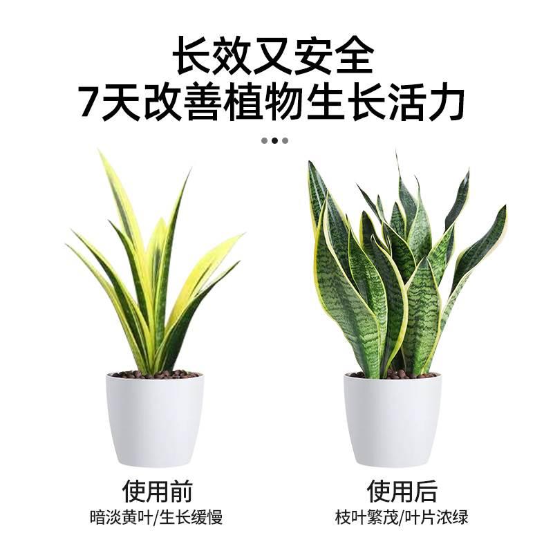 虎皮粒兰肥料专用肥缓金边虎皮兰颗营养肥料室内盆栽ATT植物复合 - 图3