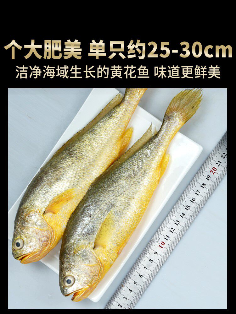 黄花鱼新鲜青岛海捕大黄花鱼3斤6条包邮深海鱼小冷冻生鲜黄鱼 靓姗汕旗舰店 淘优券 黄花鱼新鲜青岛海捕大黄花鱼3斤6条包邮深海鱼小冷冻生鲜黄鱼 靓姗汕旗舰店 淘优券