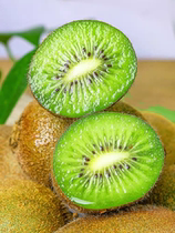 Xuelings goosebumps 8 # Yaan green heart macaque gooseberry box dress and gift leading customer Shuangfu fruit