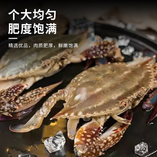海螃蟹舟山梭子蟹新鲜超低温冷冻大海蟹海鲜水产白蟹飞蟹公蟹母蟹 - 图1