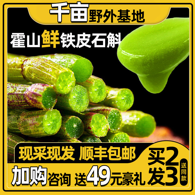 新鲜铁皮官方正品安徽霍山条枫斗 承昌堂石斛/枫斗