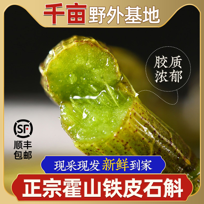 铁皮石斛新鲜条官方正品霍山枫斗粉米斛干花茶原浆旗舰店礼盒500g