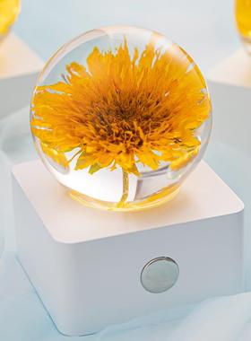 铃兰永生花小夜灯水晶球摆件真花标本送女友生日七夕情人节礼物