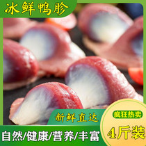 Fresh frozen duck gizzard 2kg frozen fresh duck gizzard gizzard gizzard gizzard duck gizzard duck gizzard duck gizzard Ducks Rare food