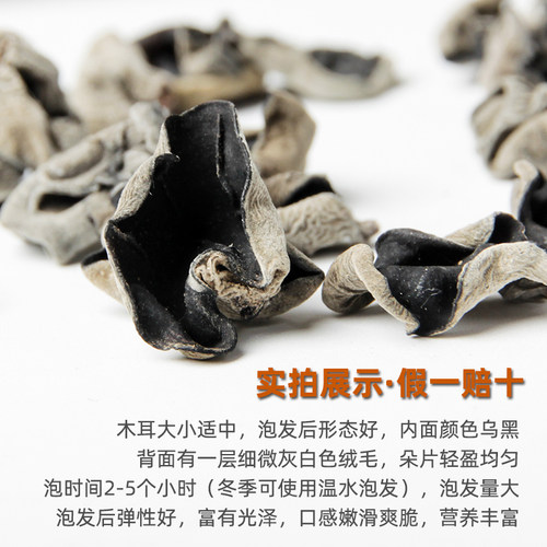东北黑木耳干货新长白山凉拌小碗耳特产级无根肉厚椴木秋云耳500g - 图1