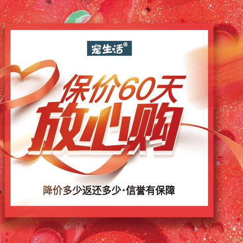 猫咪饮水机充电款自动循环流动水恒温宠物饮水器无线不插电喝水器 - 图0