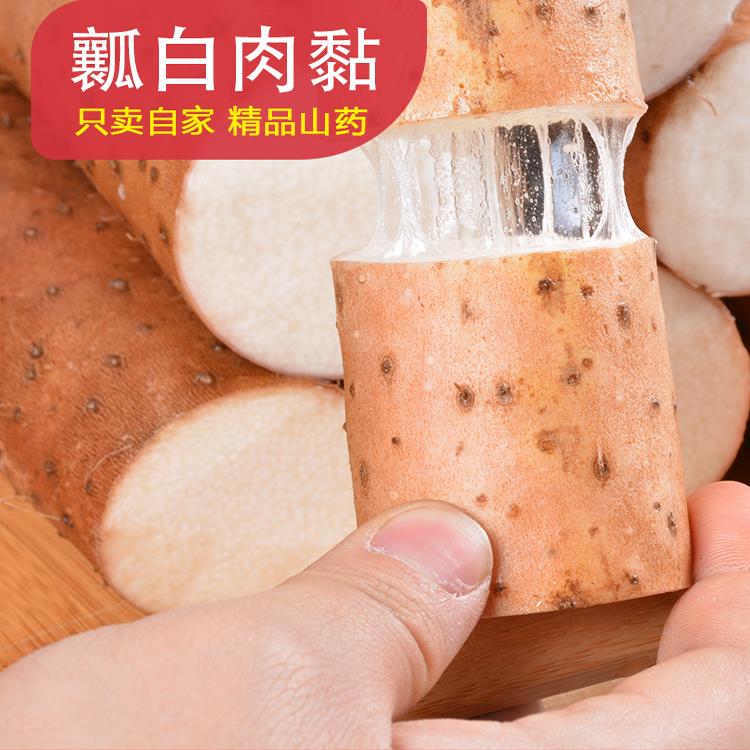 宁夏白玉山药正宗新鲜5斤现挖铁杆官方旗舰店垆土即食小白嘴山药