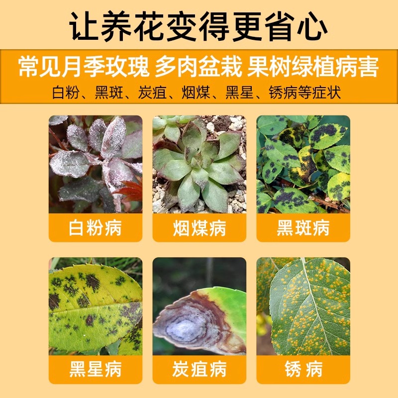 国光多菌茵灵白粉病农药正品液体杀菌剂花卉植物兰花官方旗舰店-图1