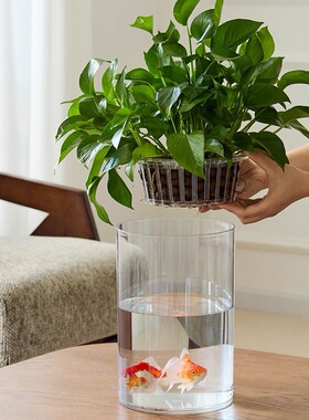 水培透明花瓶器皿绿萝花盆塑料