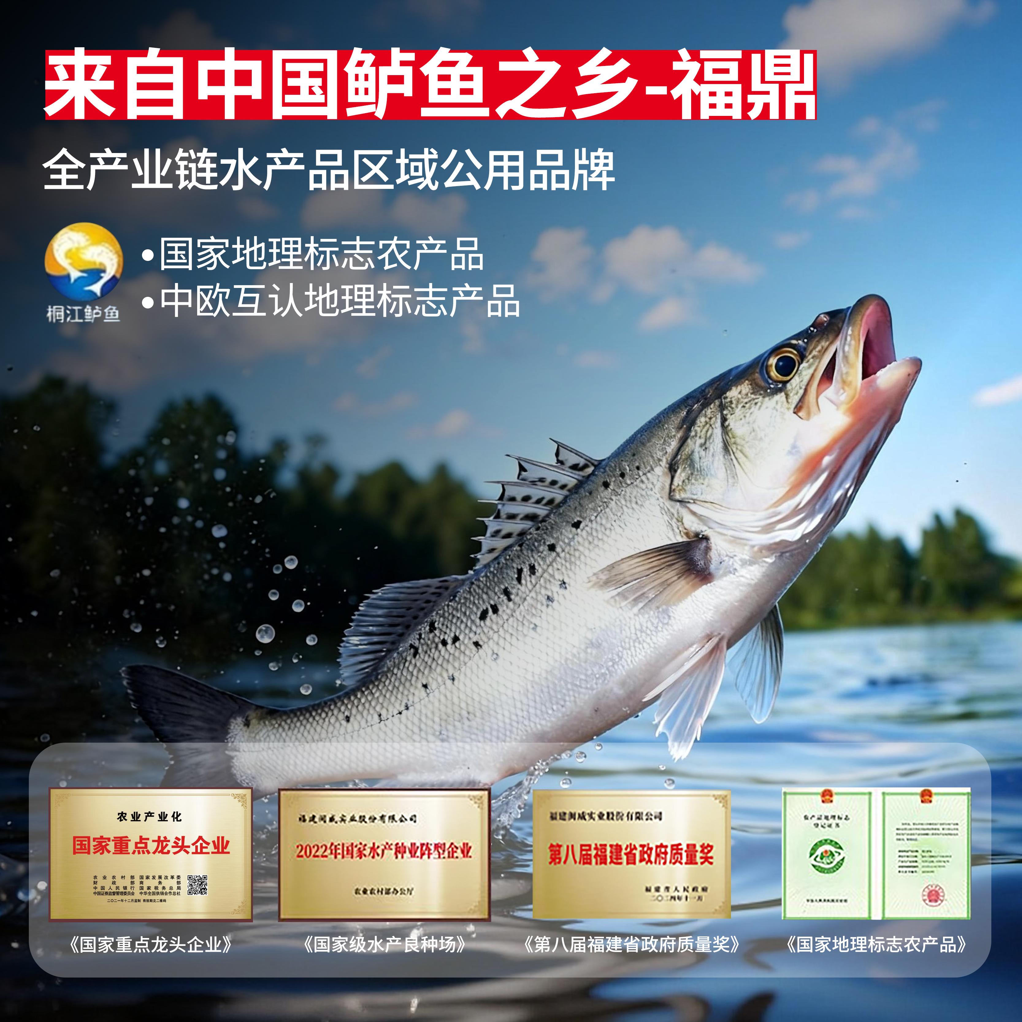 闽威海鲈鱼新鲜海鲜半成品去鳞去鳃去内脏三去开背免处理550g*2条